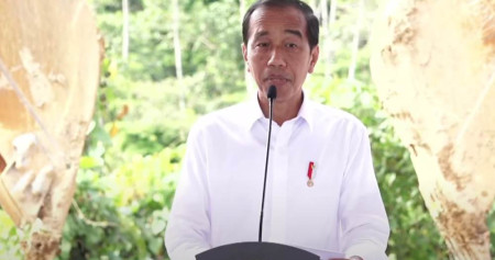 Telepon Strategis Jokowi ke MBZ, Bahas Situasi Perang dan Energi Dunia